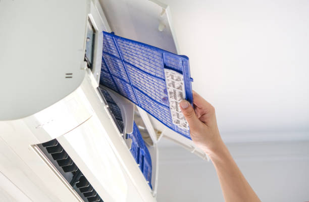 Best Air Duct Mold Removal  in Stockton University, NJ